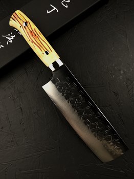 Takeshi Saji Нож кухонный Накири 170/302 мм SRS13, San Mai - (Порошковая сталь) - фото 25833