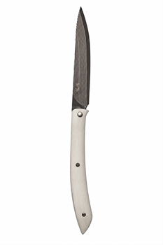 Нож складной Takeshi Saji Стейковый 100/240 мм SG2/Super Gold 2 or R2(Порошковая сталь) SA-Folding-4