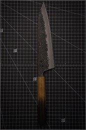 Sakai Takayuki Нож Кухонный Гюйто 225/370 мм Aogami 2 steel 01187