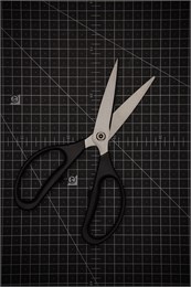 Fujitora Ножницы кухонные разборные с микро зубцами FC-424