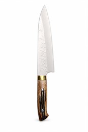 Takeshi Saji Нож кухонный Гюйто (шеф) 180/305 мм SRS13, San Mai - (Порошковая сталь) TS-STAG-G180