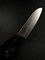 Seki Magoroku Momoyama Нож кухонный Сантоку 165/290 мм Stainless Steel, High Carbon Steel AE-5146