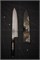 Takeshi Saji Makie-Art R2(SG2) Mirrored Damascus Japanese Chef's Gyuto Knife 250mm with Urushi Lacquered Saya and Handle RAIJINTS-R2DM-CH250- MK-FJNRJN - фото 29306